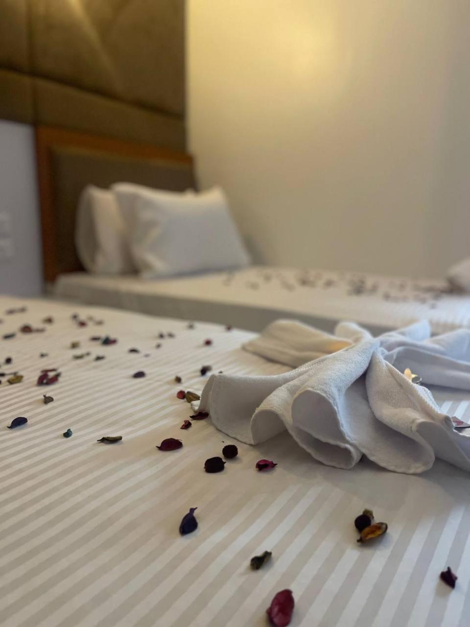 Future Hostel Cairo Ngoại thất bức ảnh